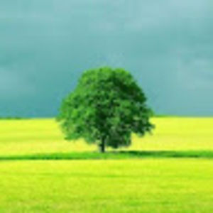 Meet your Posher, Wen`